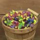 Jolly Rancher Assorted Hard Candies