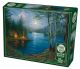 SUMMER NITE PZ (1000)