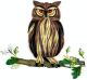 GREAT HORNED OWL CARD