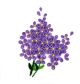 LILAC CARD