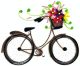 BICYCLE W/FLW BSKT CARD