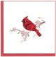 CARDINAL CARD