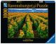FIELDS OF GOLD PZ