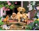 SUMMER ON PORCH 300PC PZ