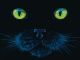 BLACK CAT PZ