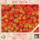 BAFFLING BERRIES 1000PC PZ