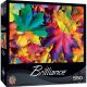 FALL FRENZY 550PC PZ