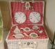 LadyBug Tea-Set In Basket