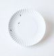 Washable Paper Plate With Ants