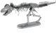 T-REX