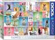 YOGA DOGS 1000PC PZ