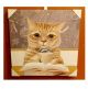 Tea Time Cat Canvas Art
