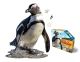 I AM LTTL PENGUIN PZ