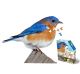 I AM BLUEBIRD 300PC PZ