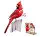 I AM CARDINAL 300PC PZ