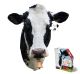 I AM COW 300PC PZ