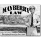 FIFE - Mayberry Law Tin Sign