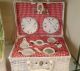 LadyBug Tea-Set In Basket