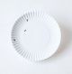 Washable Paper Plate With Ants