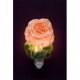 Apricot Rose  Bonded Marble Night Light