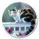 Calico Cat Auto Coaster