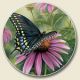 Swardtail Butterfly Auto Coaster